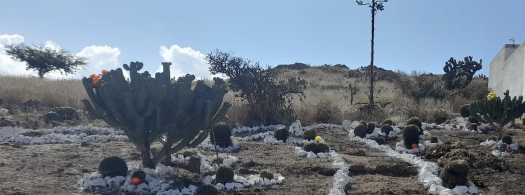 Mezquitic, SLP