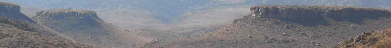 Una tarde dominguera